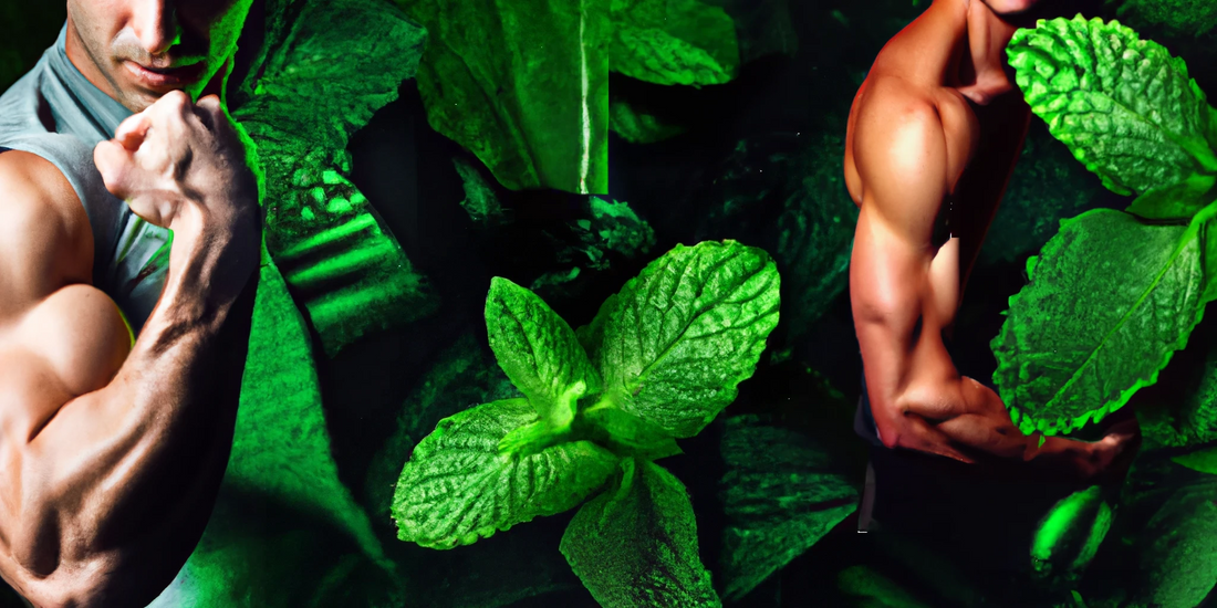 Peppermint Oil Increases Athletic Performance in Human Study