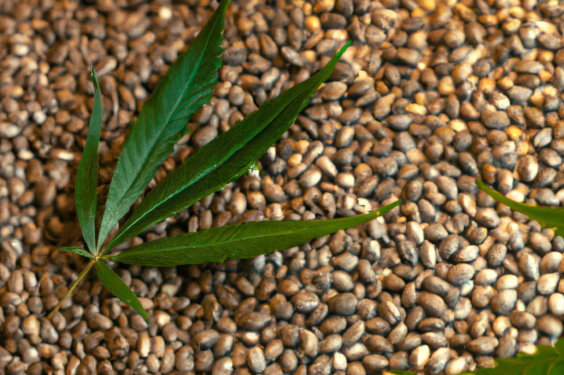 The Science Behind Hemp Seed Oil and Its Skin Benefits